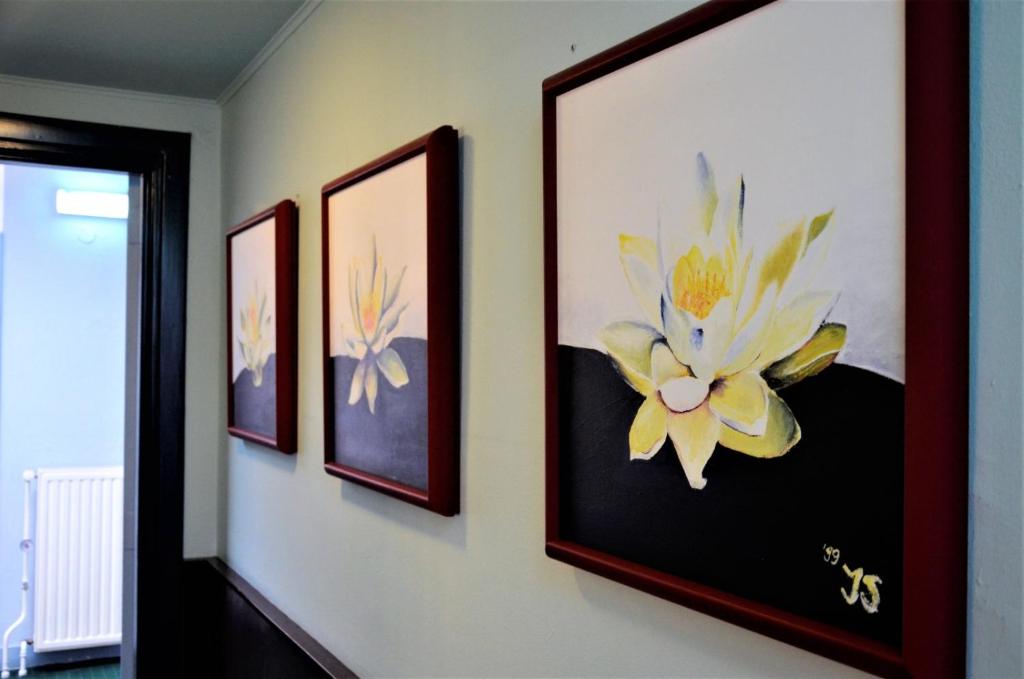 Apollo Hotel - Resim 29