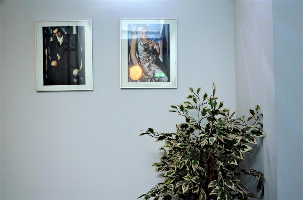 Apollo Hotel - Resim 28