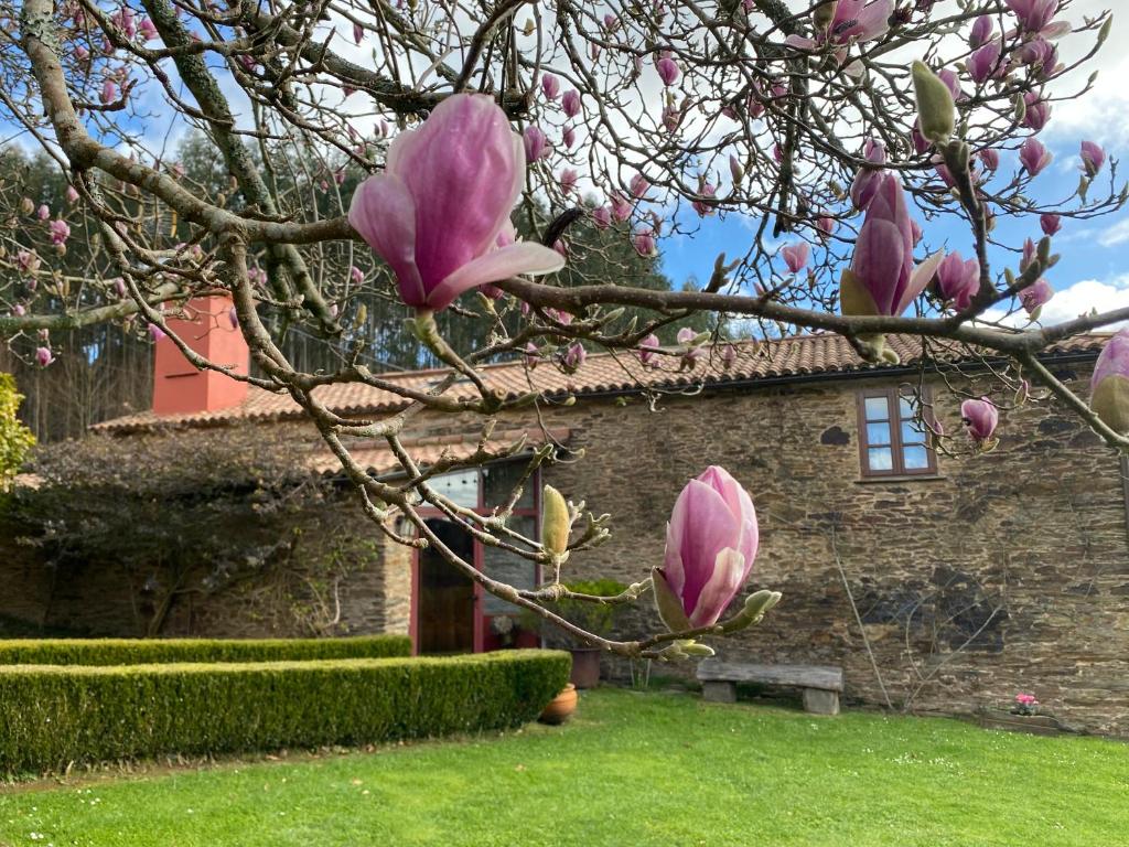 a magnolia tree in front of a stone house at Casa Castro de Crecente in Valdoviño