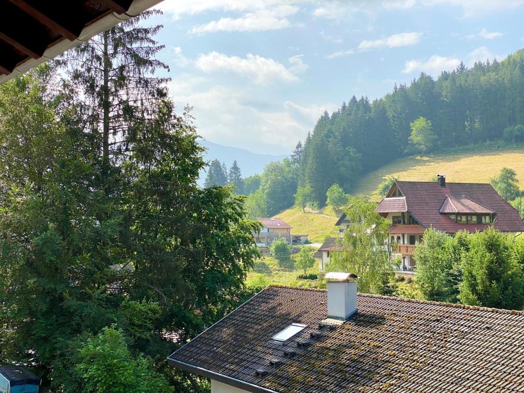 Nespecifikovaný výhled na hory nebo výhled na hory při pohledu z apartmánu
