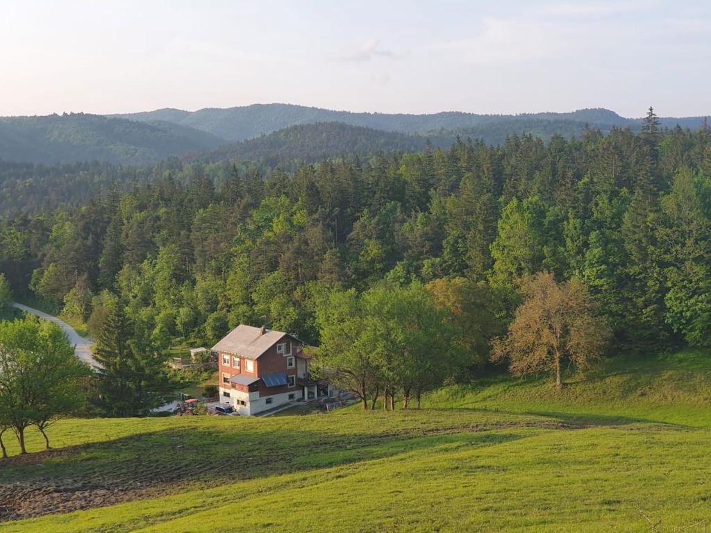 ein Haus inmitten eines Feldes mit Bäumen in der Unterkunft Apartma narava in Begunje pri Cerknici