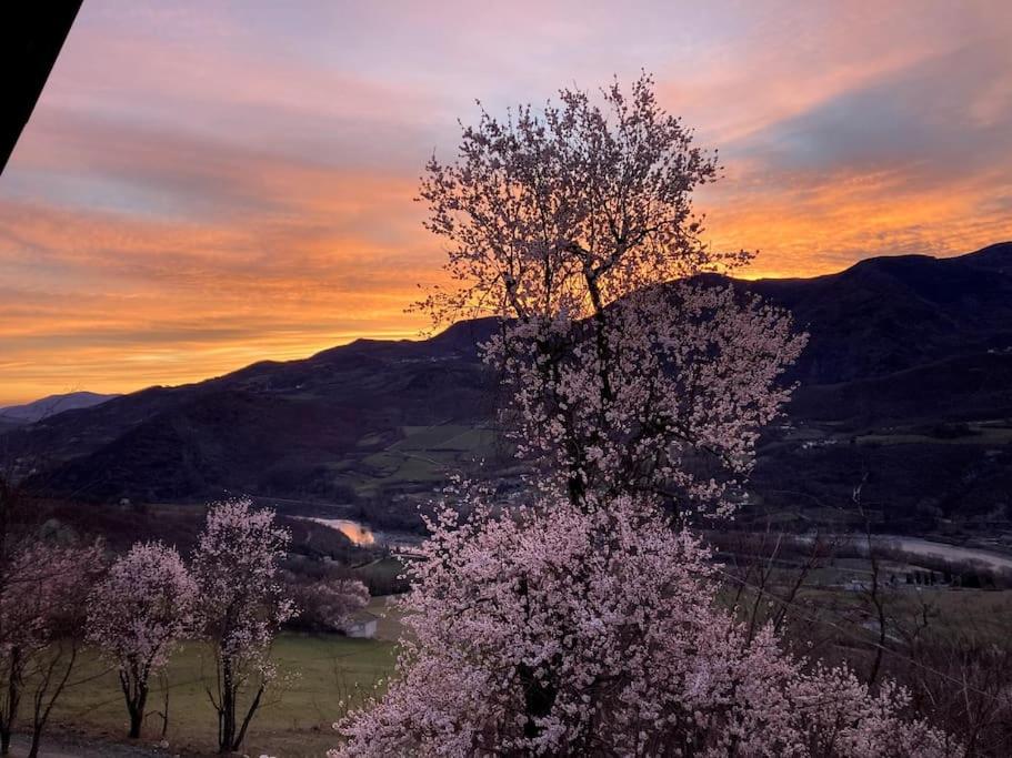 a tree in a field with a sunset in the background at Casa nella natura a Bobbio in Bobbio