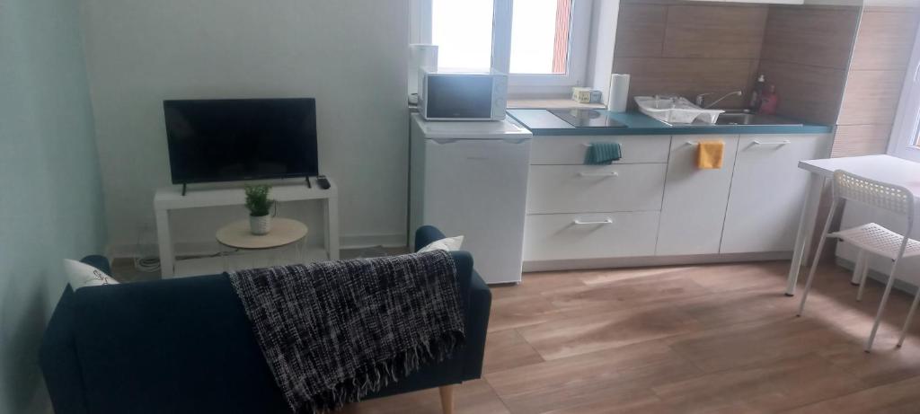 un salon avec un canapé et une télévision et une cuisine dans l'établissement LE MONISTROL, à Monistrol-sur-Loire