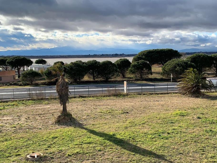 un árbol en medio de un campo con un camino en Joli studio cabine confort 28m2 a 200m de la plage, en Canet-en-Roussillon