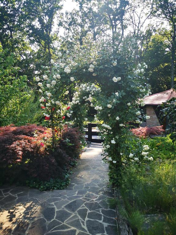 Zahrada ubytování Holiday Home - Goričko Park