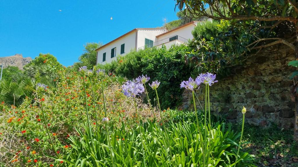 Villa Podere I Cavalieri في SantʼAnna: حديقة بها ورد ومبنى في الخلفية