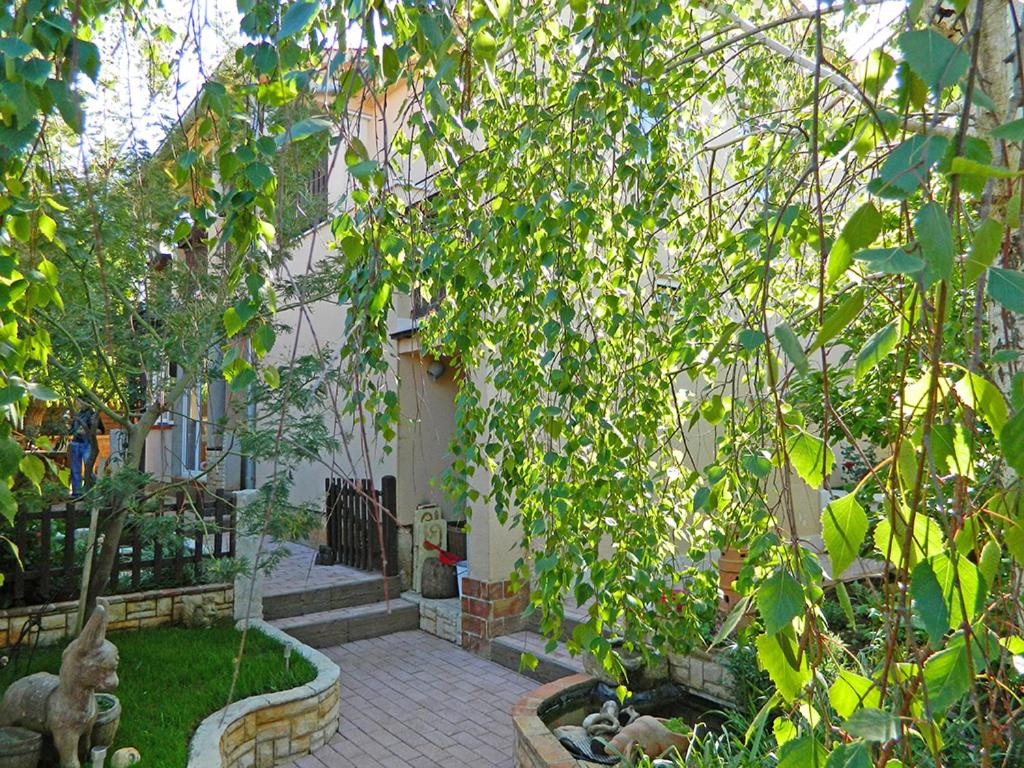 Zahrada ubytování Apartment San