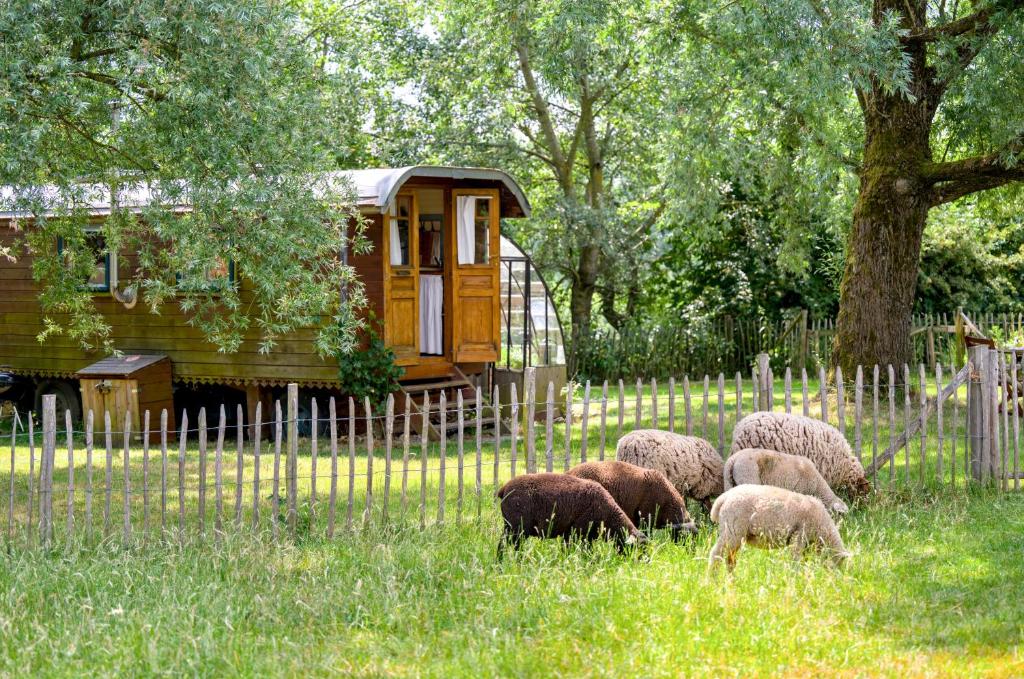 Zahrada ubytování La Roulotte de la Ferme de Froidefontaine