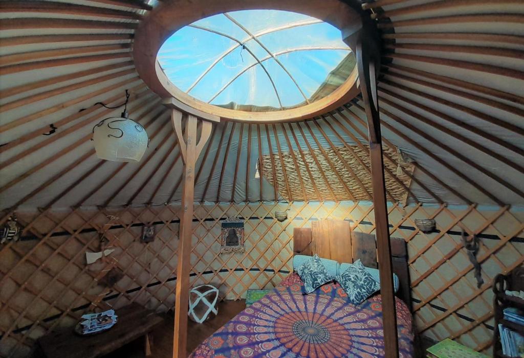 Fotografie z fotogalerie ubytování Green Man yurt v destinaci Penela