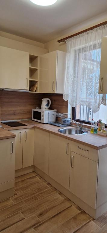 Kuchyň nebo kuchyňský kout v ubytování Luxury Apartments Ekaterina