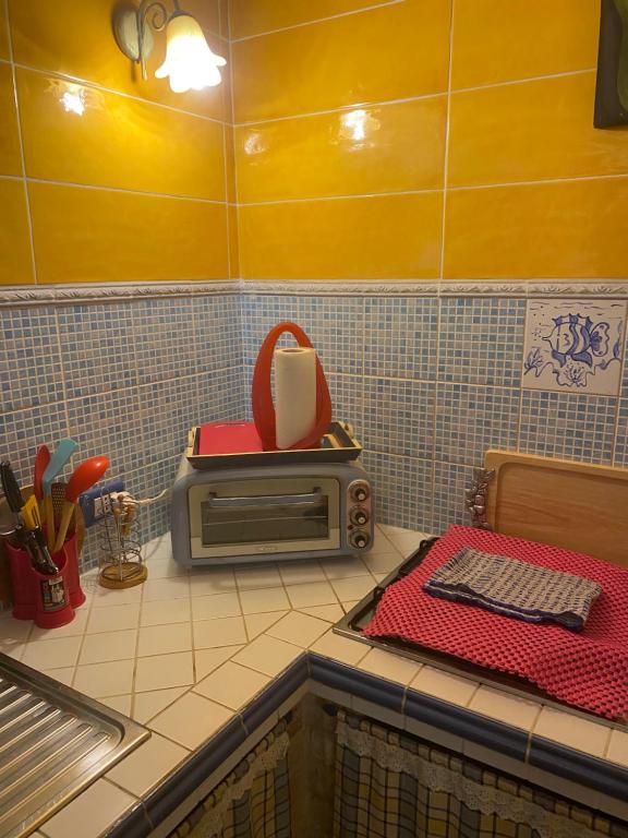 kuchnia z blatem z tosterem w obiekcie A casa di Oba, a pochi minuti dal mare (IUN P9041) w Puli