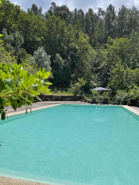 ブラガにあるQuinta do Tanquinhoの木々が茂る青いスイミングプール