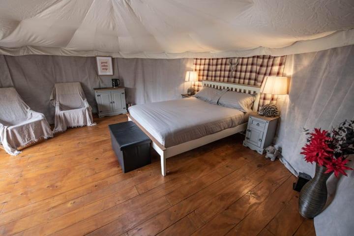 Fotografie z fotogalerie ubytování Glamping in Llanberis v destinaci Llanberis