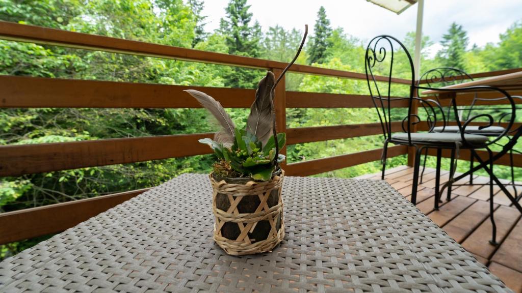 a vase with a plant sitting on a table at Holiday house Kajfes in Brod na Kupi