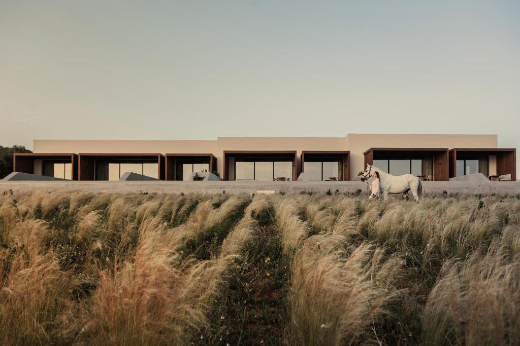Fotografie z fotogalerie ubytování Meraviglia Slow Living v destinaci Preveza