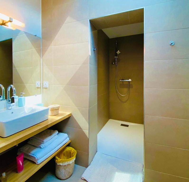 een badkamer met een douche, een wastafel en een douche bij La Dormance in Beaune