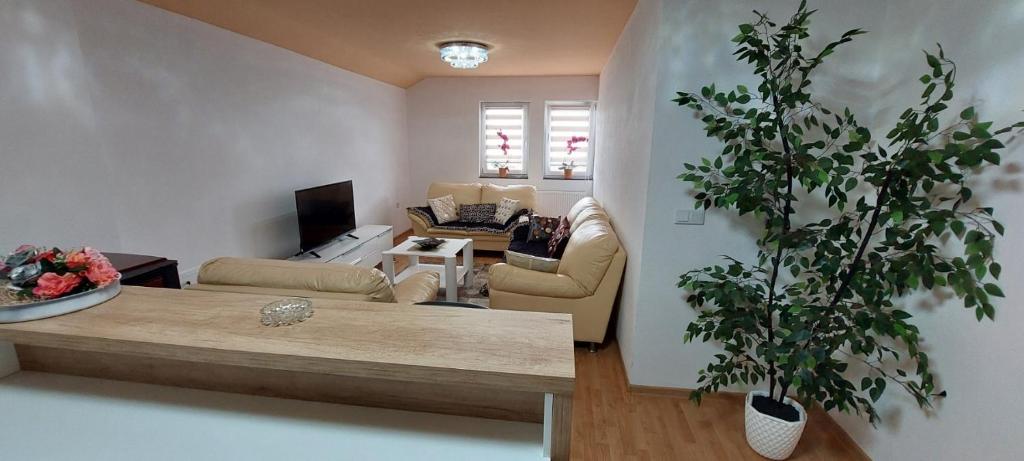 ein Wohnzimmer mit einem Sofa und einer Pflanze in der Unterkunft Apartman Citadel in Gradačac