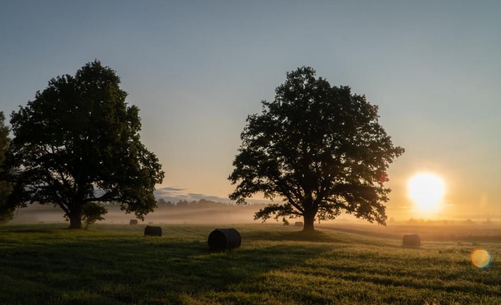 a field with trees and hay bales in the sunset at telšu vietas Divi Ozoli 