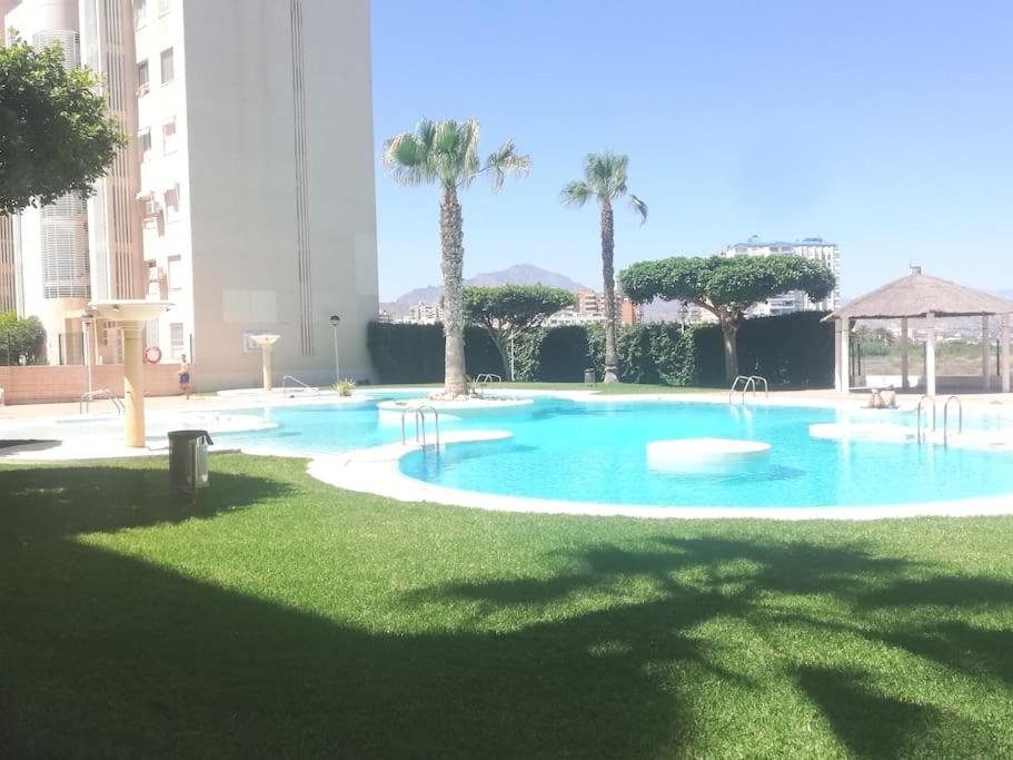 a large swimming pool in a building with palm trees at Apartamento playa Muchavista in El Campello