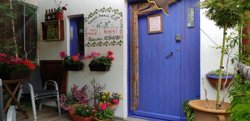 a blue door on a house with potted plants at Bistro-Pension La Teleferic in Sinaia