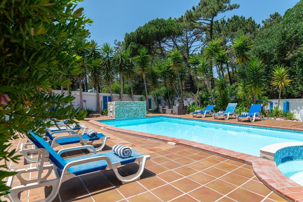 una piscina con sedie a sdraio blu e un gruppo di pellicani di Villa Cassandra a Sintra