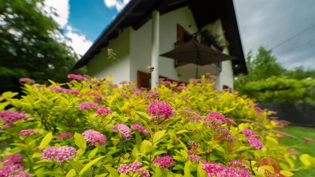 a garden with pink flowers in front of a building at Holiday house Kajfes in Brod na Kupi