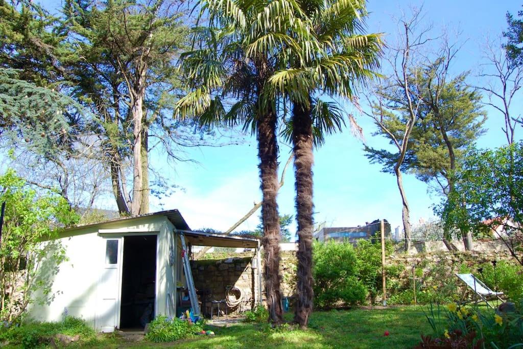 a small shed with a palm tree in a yard at Un jardin en ville in Nantes