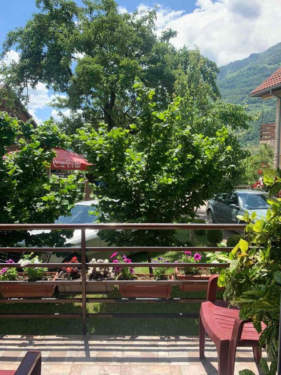 Rooms Lida & Friendly home - 2