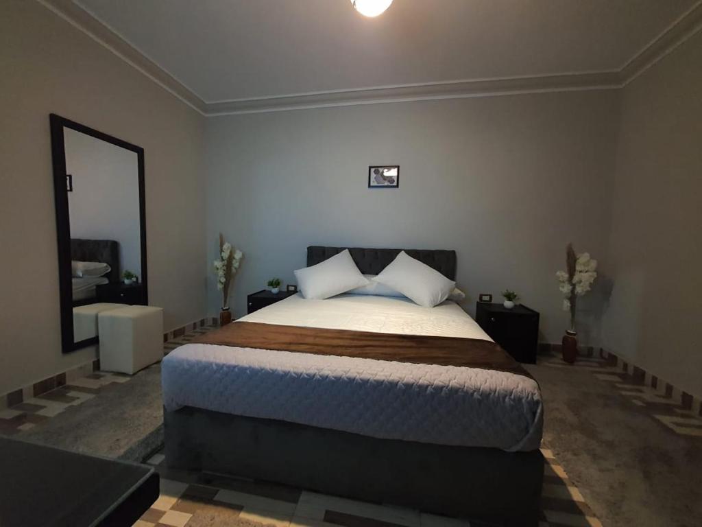 a bedroom with a large bed and a mirror at Youvala serviced apartment Giza in Cairo