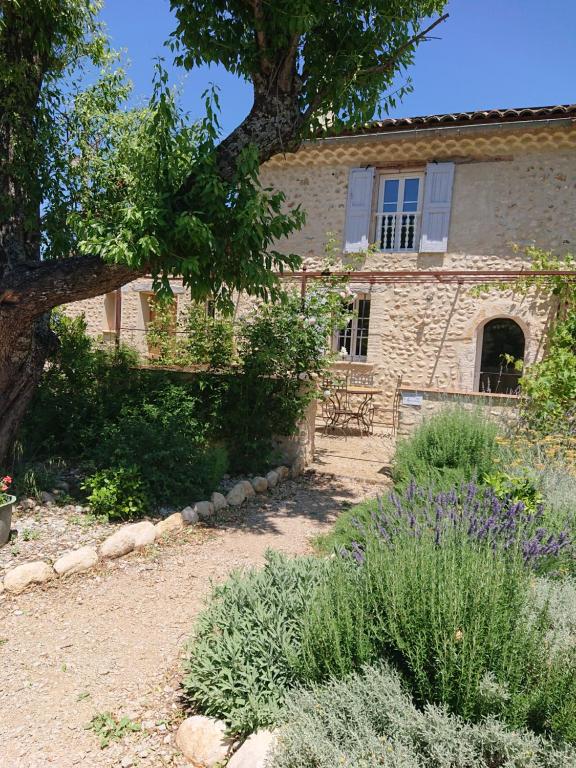 une maison en pierre avec un arbre et quelques plantes dans l'établissement Gite Amandier, Ferme Bel Air, Riez, à Riez
