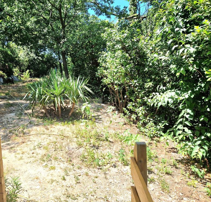 Vonkajšia záhrada v ubytovaní Chalet Marseille hauteur