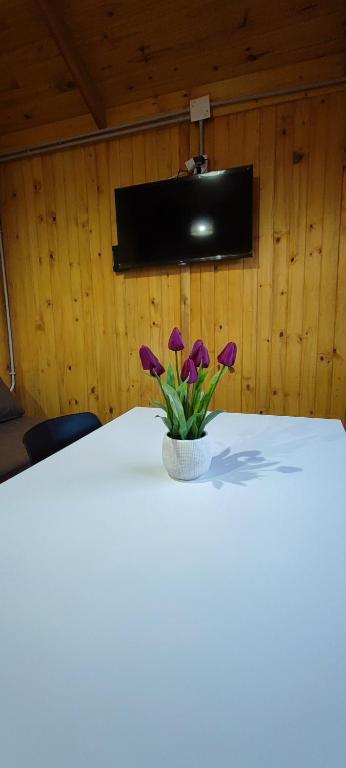 Cabañas Antawara Uspallata