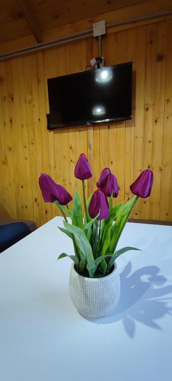 Cabañas Antawara Uspallata