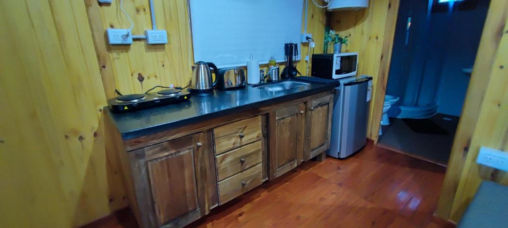 Cabañas Antawara Uspallata