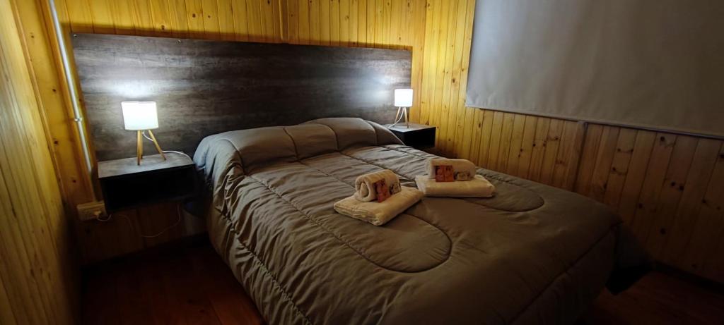 Cabañas Antawara Uspallata