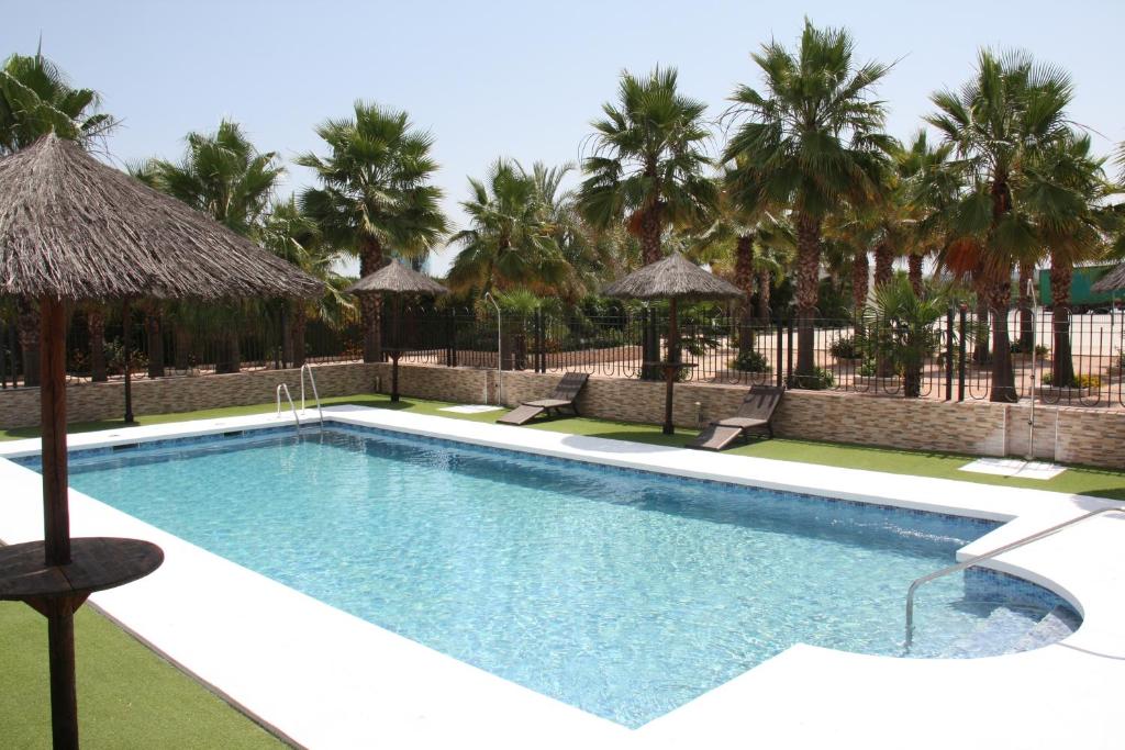 une piscine avec des palmiers en arrière-plan dans l'établissement Hacienda Guadalquivir, à Cordoue