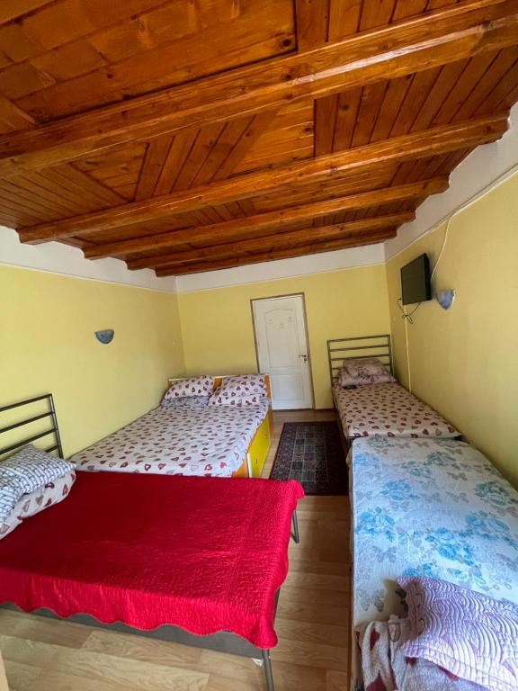Postel nebo postele na pokoji v ubytování CONSTANTINESCU A.