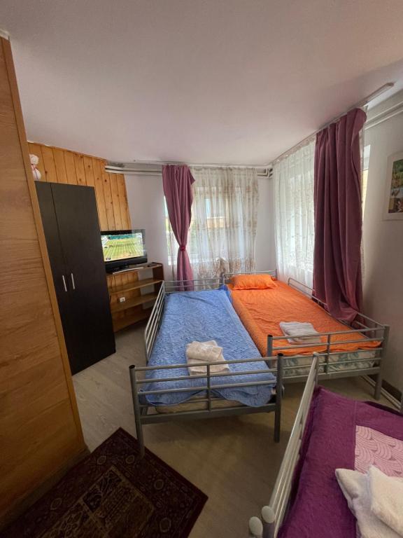 Postel nebo postele na pokoji v ubytování CONSTANTINESCU A.