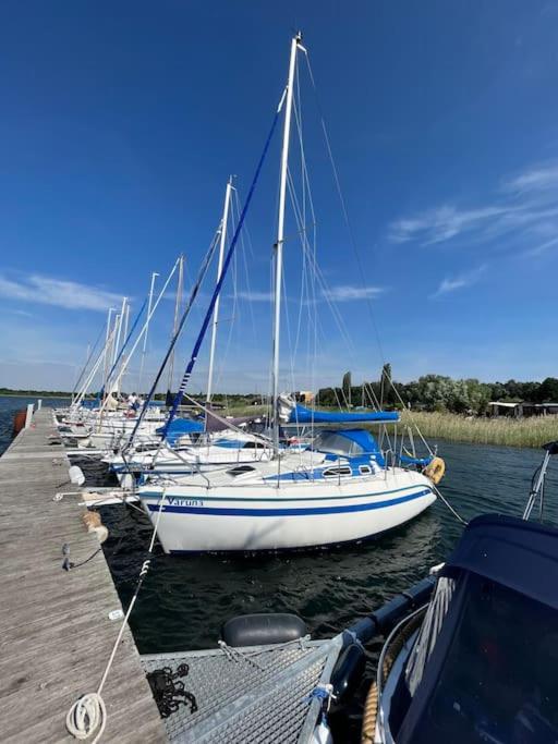 a row of boats are docked at a dock at Haus Bernsteinsee mit Goitzsche-Schnuppersegeln in Friedersdorf