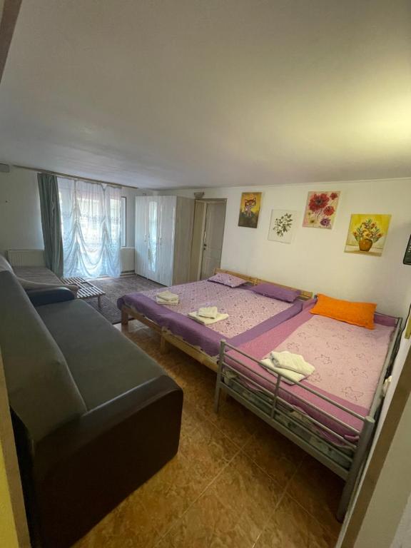 Postel nebo postele na pokoji v ubytování CONSTANTINESCU A.