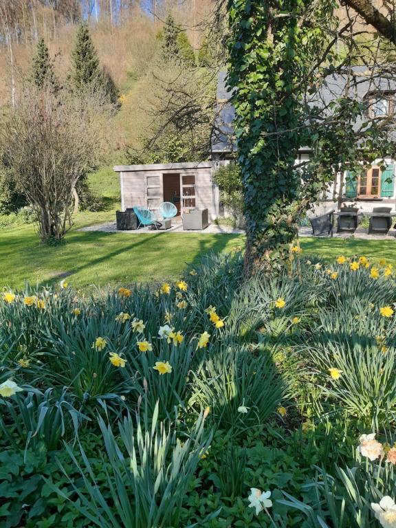 a garden with yellow flowers in front of a shed at les orchidees sauvages in Touffreville-la-Corbeline