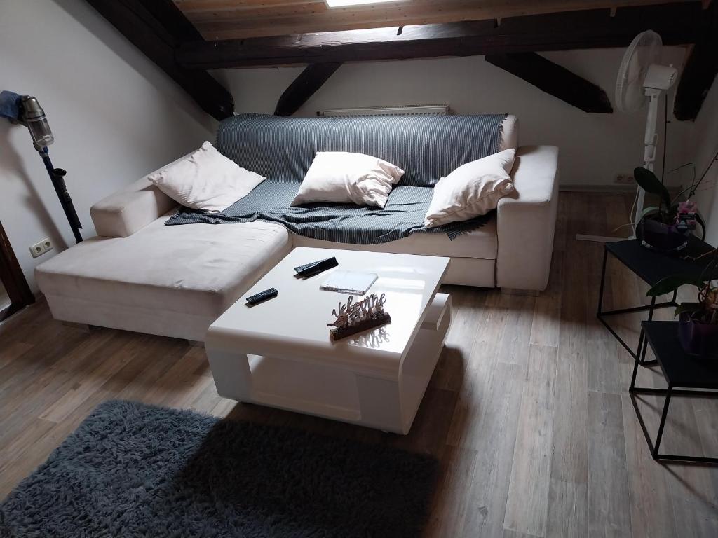 sala de estar con sofá y mesa de centro en 2 Zimmer Monteur Wohnung DG, en Riedstadt