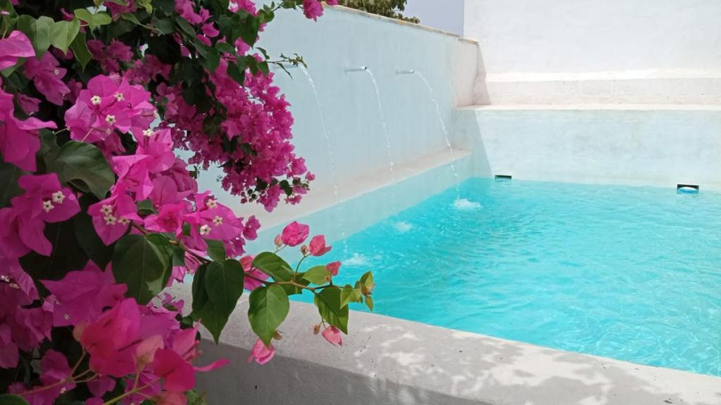 uma piscina com flores rosas ao lado de uma parede em Villa Buganvillas, relax con piscina privada a pocos minutos de la Barrosa y Santi Petri em Chiclana de la Frontera