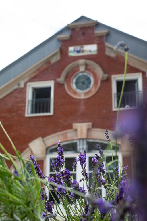 One Shot Palácio Cedofeita - Resim 44