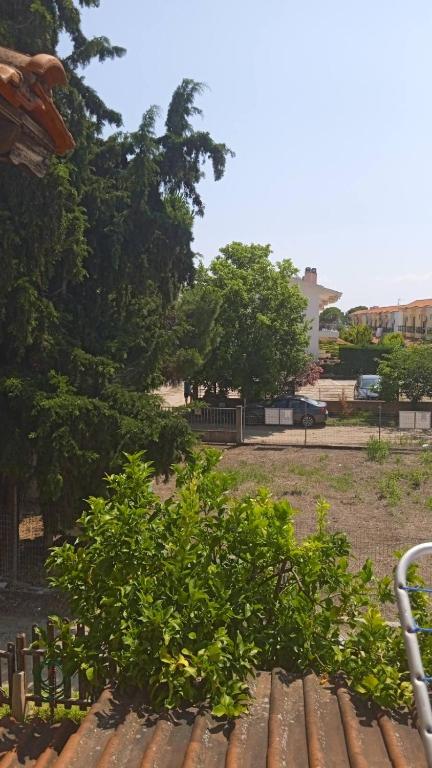 Zahrada ubytování Nefeli Maisonette