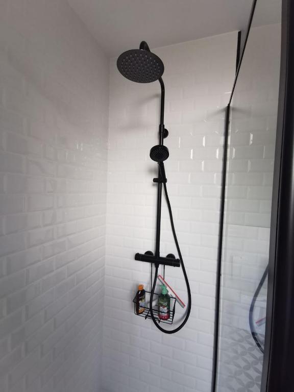 a shower with a shower head in a bathroom at Clos Léonie - appartement 68m2 lumineux avec sauna in Givry