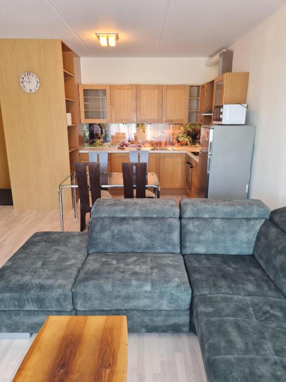 a living room with a couch and a kitchen at Cozy one bedroom apartment in city center in Tallinn