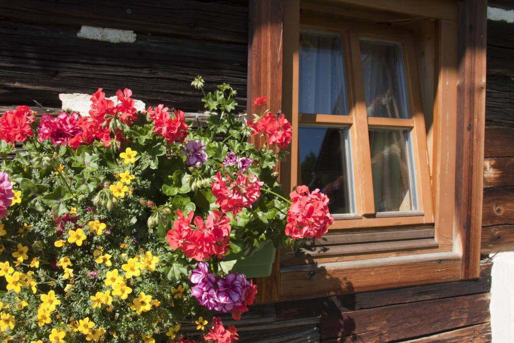 Vonkajšia záhrada v ubytovaní Schrunerhof