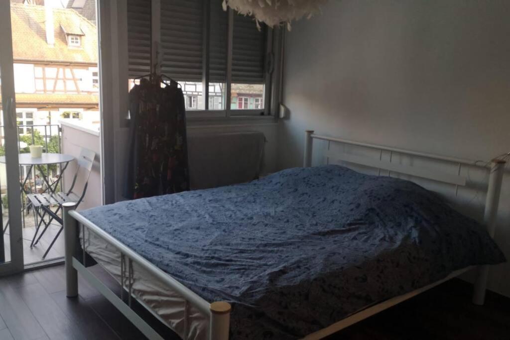 um quarto com uma cama com um cobertor azul em Magnifique appartement em Estrasburgo