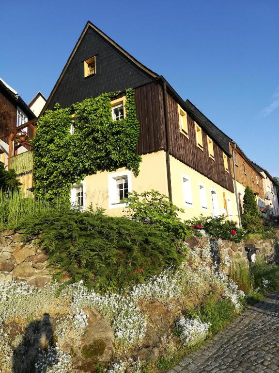 a large house with a black roof at Ferienhaus 3 Eulen in Kurort Altenberg